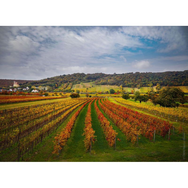 Herbst-Weinpaket Nr. 2 (versandkostenfrei)